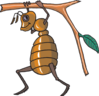 Ant Carrying Twig Clip Art
